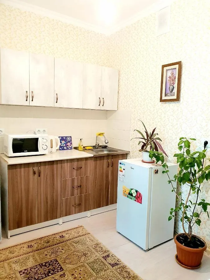 Apartment In Heart Of Astana 0*, Nur-Sultan (Astana)